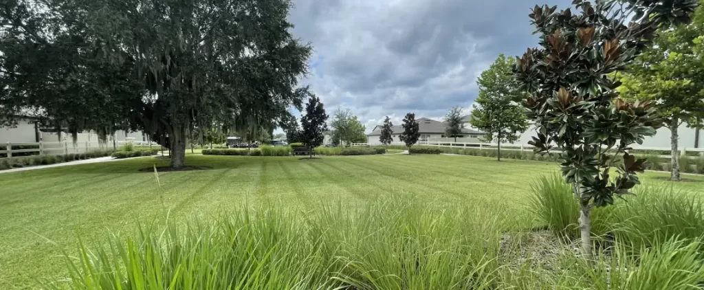 professional mowing for central florida
